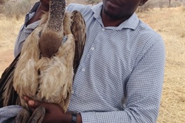 WCS's Msafiri Mgumba Receives Disney Conservation Hero Award